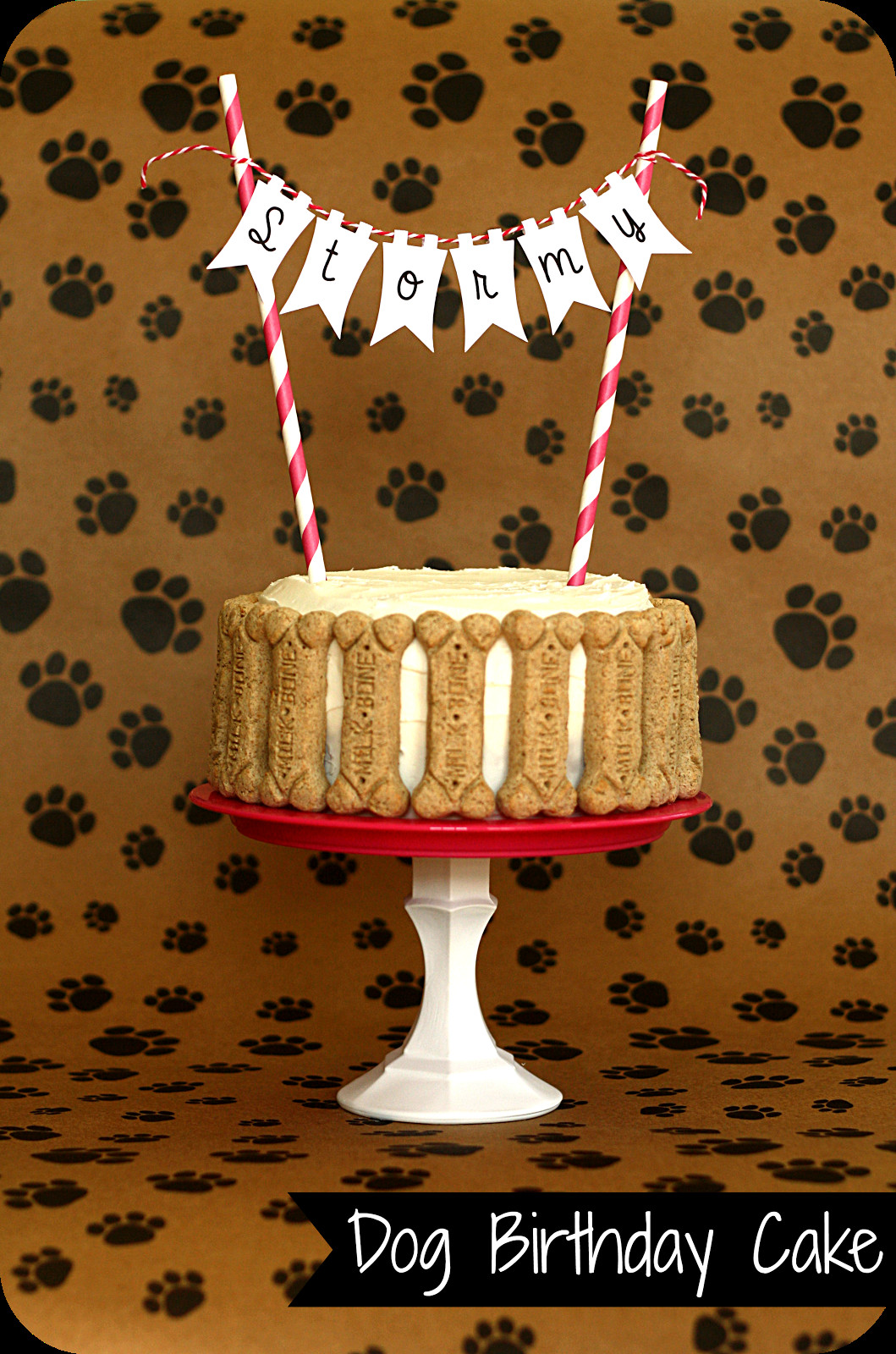 Homemade Dog Birthday Cake
 Keeping My Cents ¢¢¢ March 2013