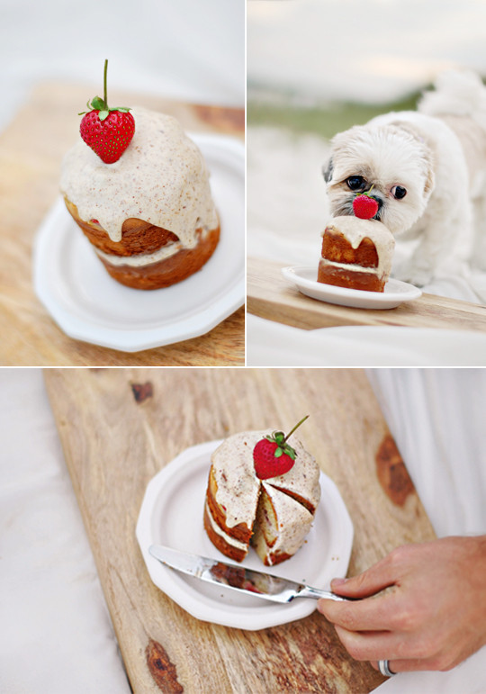 Homemade Dog Birthday Cake
 The Best Dog Birthday Cake Recipe Coco’s Birthday