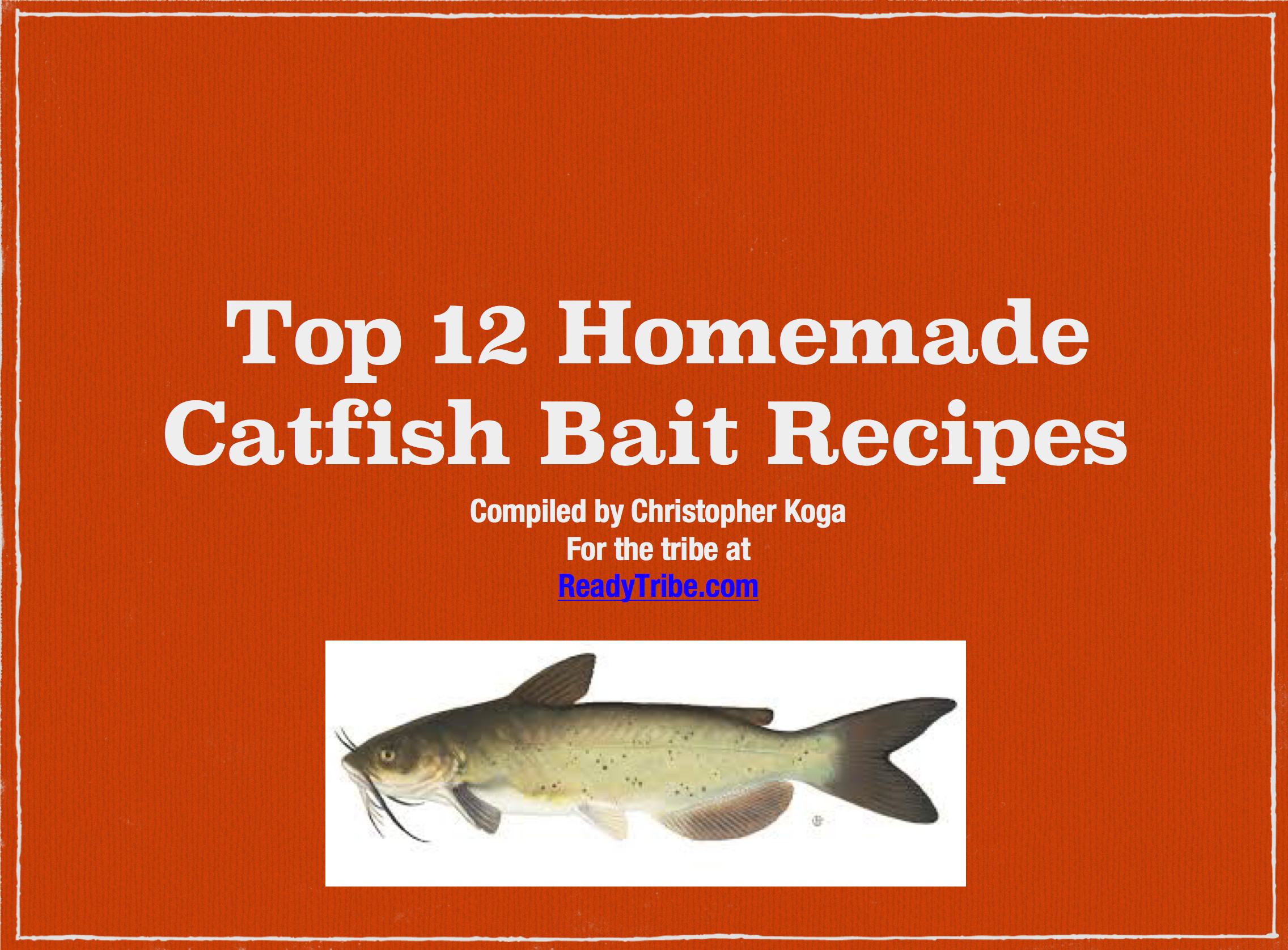 Homemade Fish Bait Recipes
 Homemade Catfish Bait Top 12 Catfish Bait Recipes