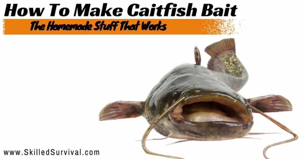Homemade Fish Bait Recipes
 How To Make Catfish Bait My Grandfather s Recipe