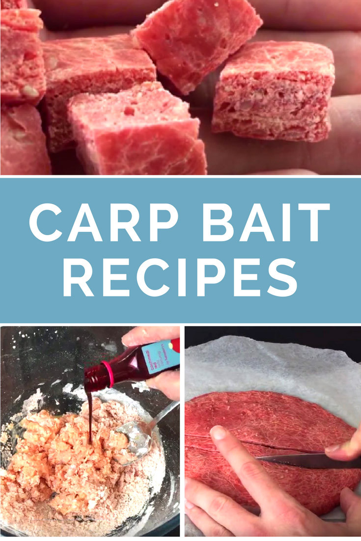 Homemade Fish Bait Recipes
 Homemade Carp Bait Recipes Carp Fishing Reviews
