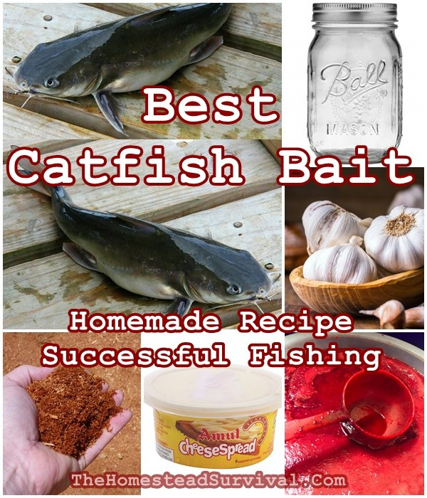 Homemade Fish Bait Recipes
 Best Catfish Bait Homemade Recipe for Successful Fishing