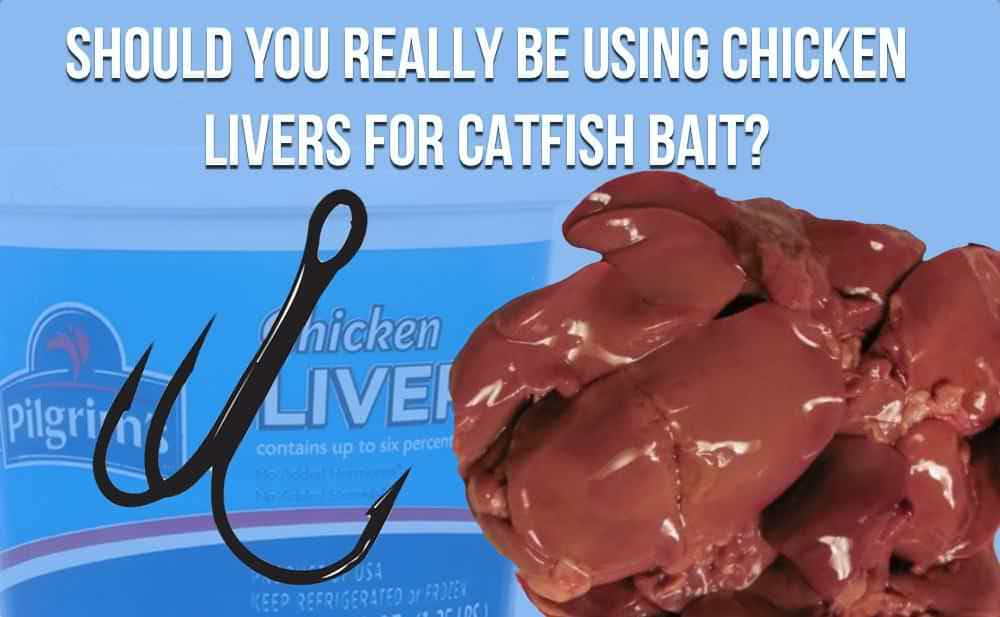 Homemade Fish Bait Recipes
 how to make strawberry chicken catfish bait