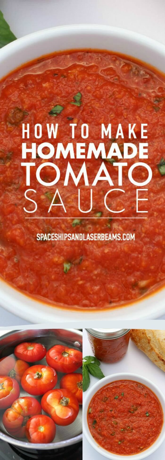 Homemade Spaghetti Sauce From Fresh Tomatoes Real Italian
 How to Make a Delicious Homemade Tomato Sauce via