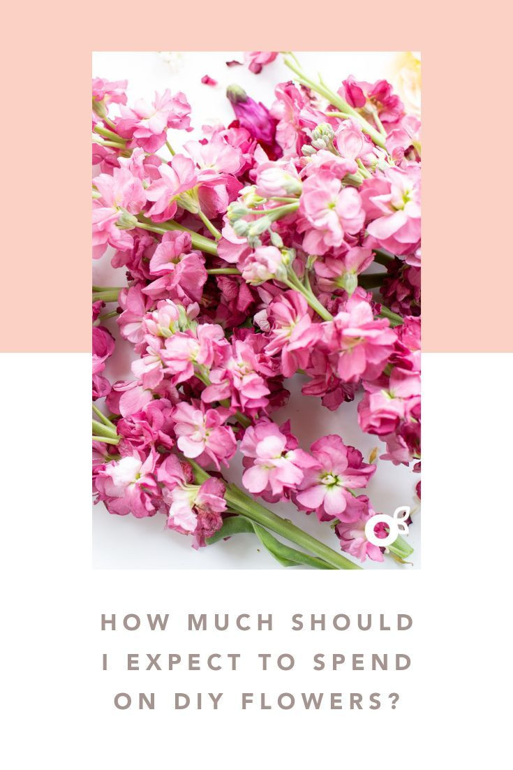How Much To Spend On Wedding Flowers
 How much should I expect to spend on DIY wedding flowers