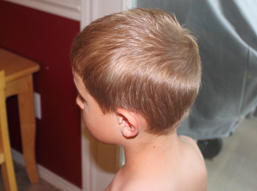 How To Cut Boys Hair With Clippers
 How to do a Boy s Haircut with Clippers Frugal Fun For