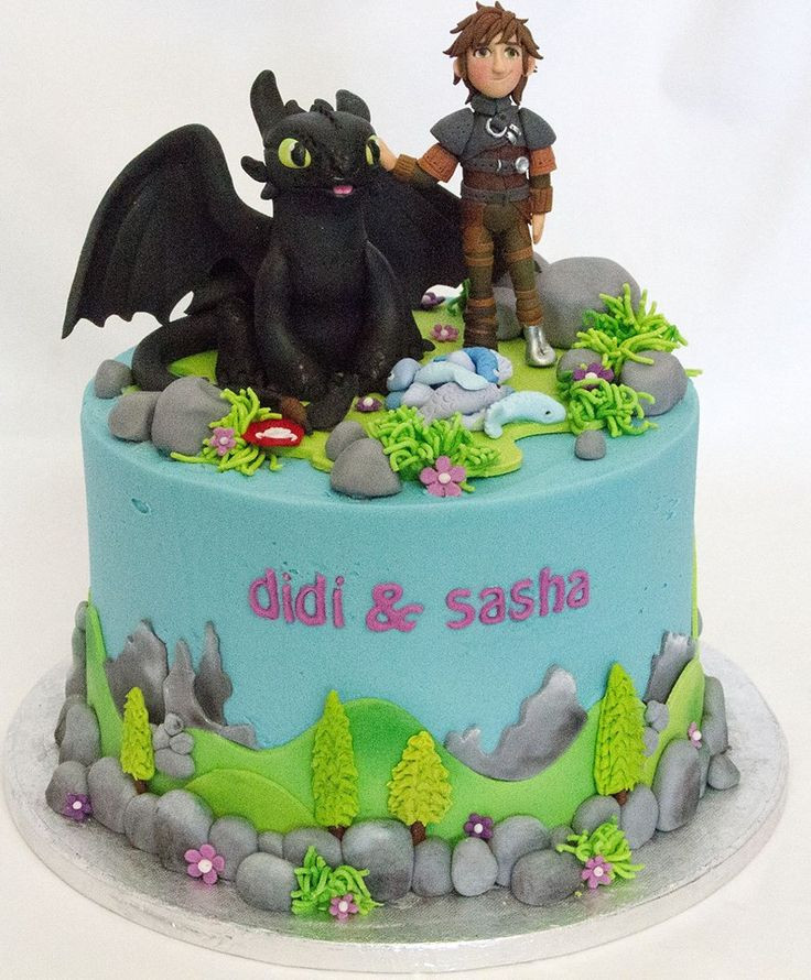 How To Train Your Dragon Birthday Cake
 Toothless Birthday Cakes
