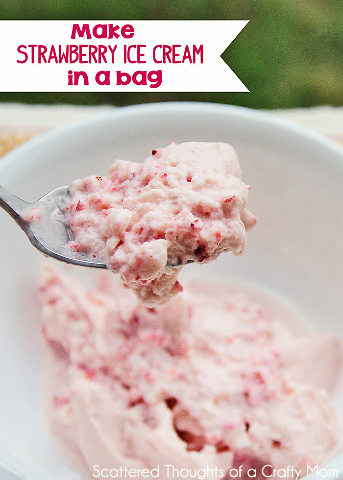 Ice Cream Recipes For Kids
 A DIY for the Kids Strawberry Ice Cream in a Bag