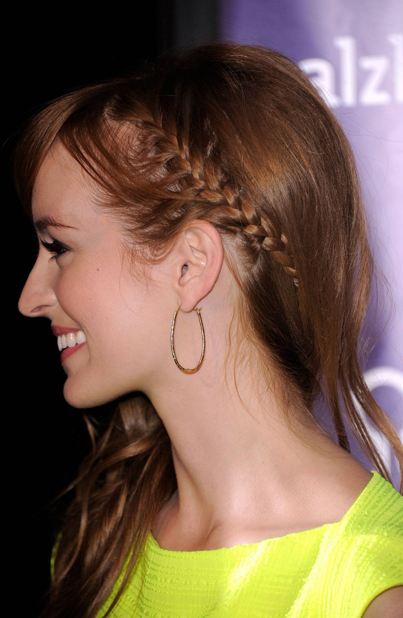 Images Of Braided Hairstyles
 Side Braid Hairstyles