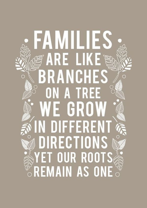 Importance Of Family Quotes
 Family Quotes 167 Short Love My Family Sayings