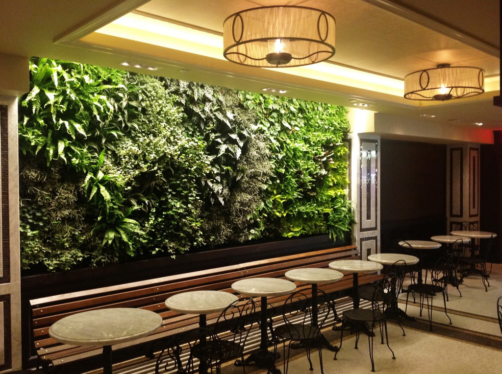 Indoor Living Wall Systems
 Indoor living wall systems start to finish