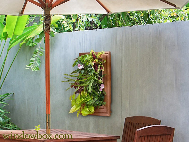 Indoor Living Wall Systems
 Indoor Living Wall Kit with Traditional Frame DIY