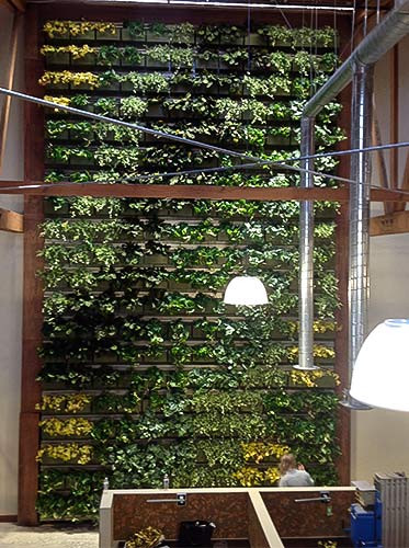Indoor Living Wall Systems
 LiveWall Green Wall Systems – Living Walls – Los Angeles