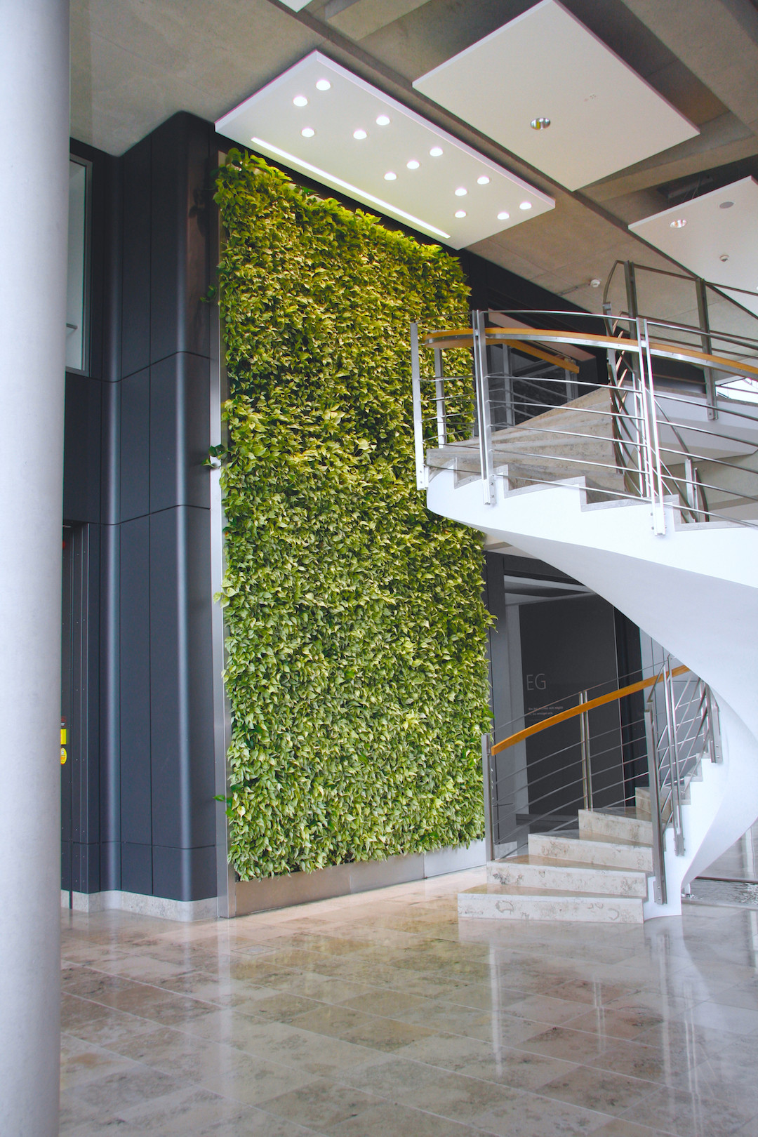 Indoor Living Wall Systems
 Living Green Walls