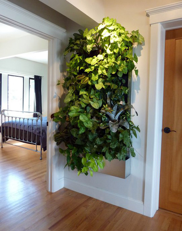 Indoor Living Wall Systems
 Living Walls for Small Spaces – Urban Gardens Guest Post