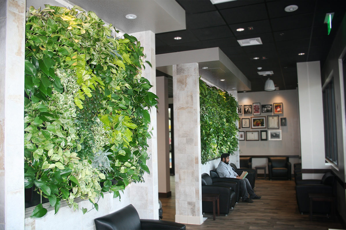 Indoor Living Wall Systems
 Peets Coffee Indoor Tropical Green Wall