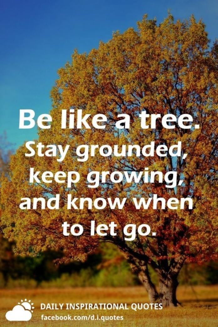 Inspirational Tree Quotes
 Be like a tree Stay grounded keep growing and know when