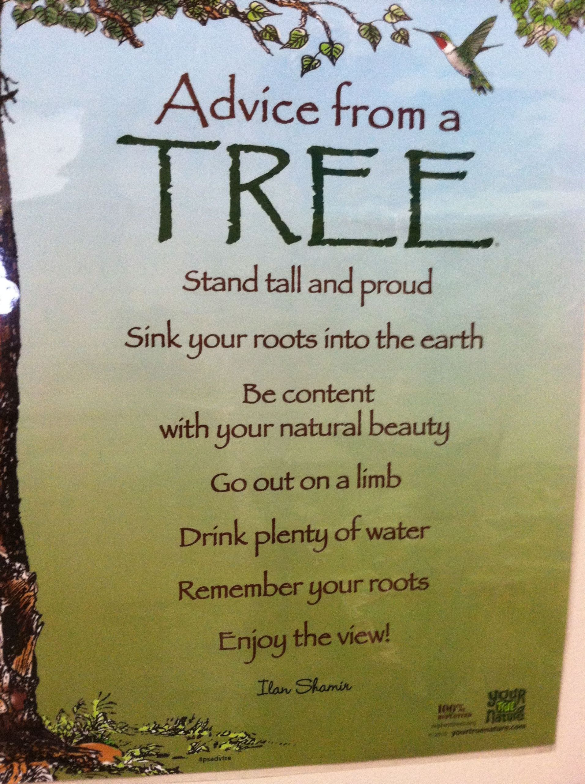 Inspirational Tree Quotes
 Tree quote