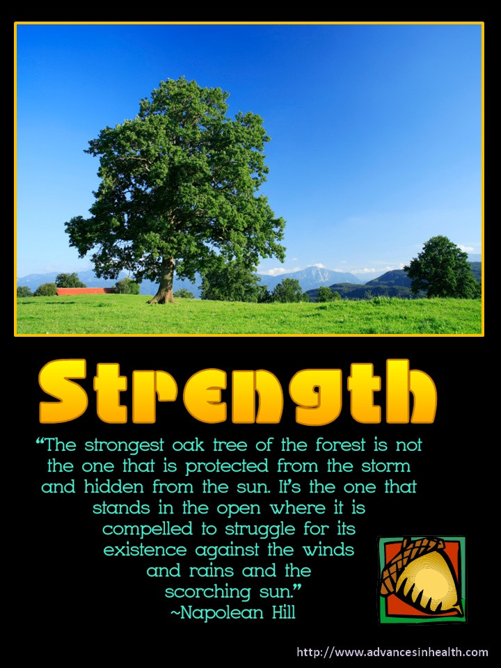 Inspirational Tree Quotes
 Inspirational Quotes Oak Tree QuotesGram