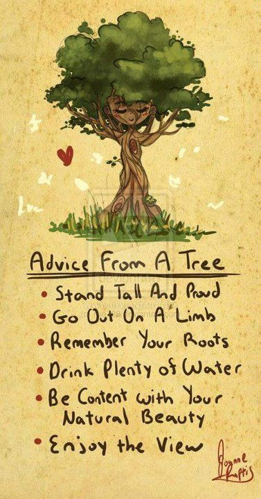Inspirational Tree Quotes
 Inspirational & Positive Life Quotes advice from a tree