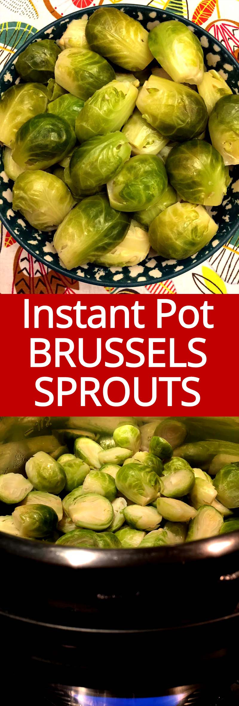 Instant Pot Brussels Sprouts
 Instant Pot Steamed Brussels Sprouts Recipe – Melanie Cooks