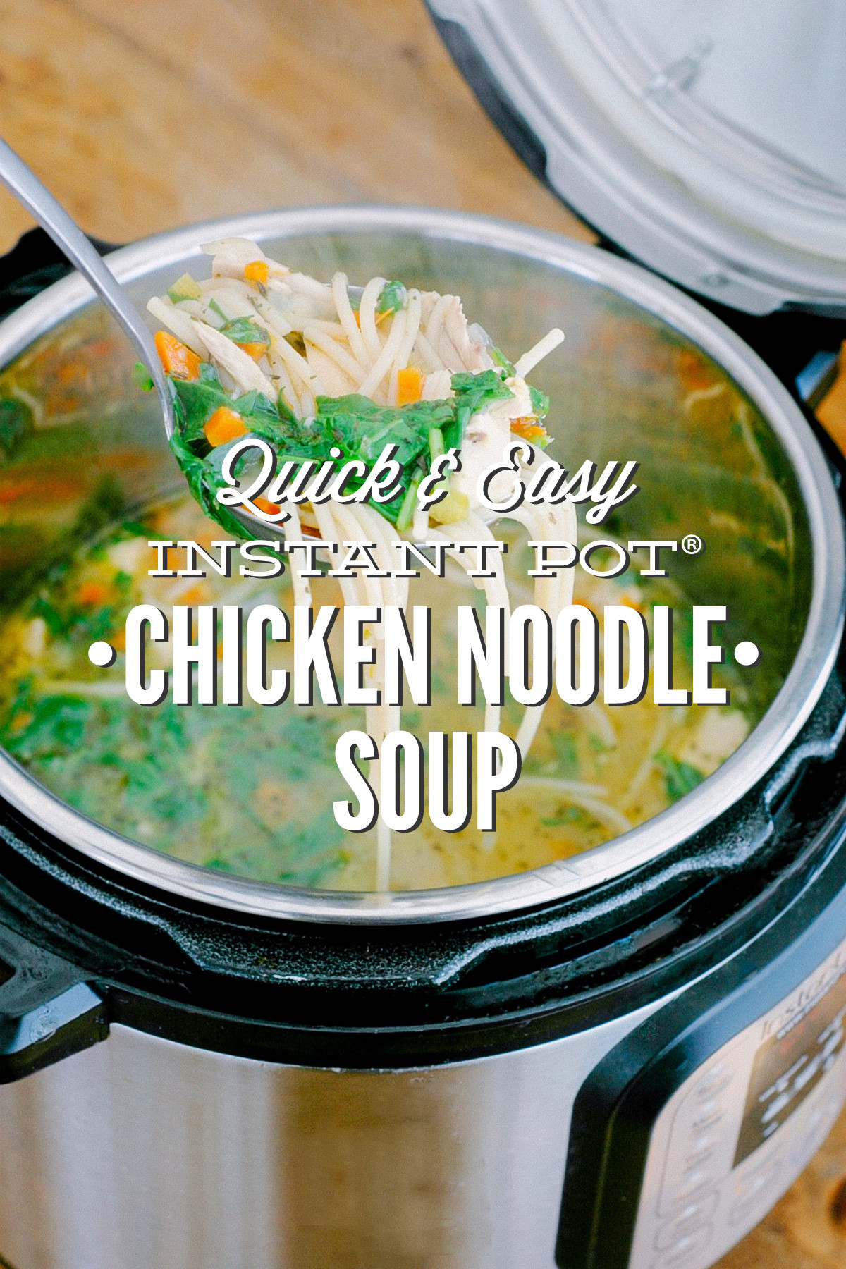 Instant Pot Quick Recipes
 Quick and Easy Instant Pot Chicken Noodle Soup Pressure