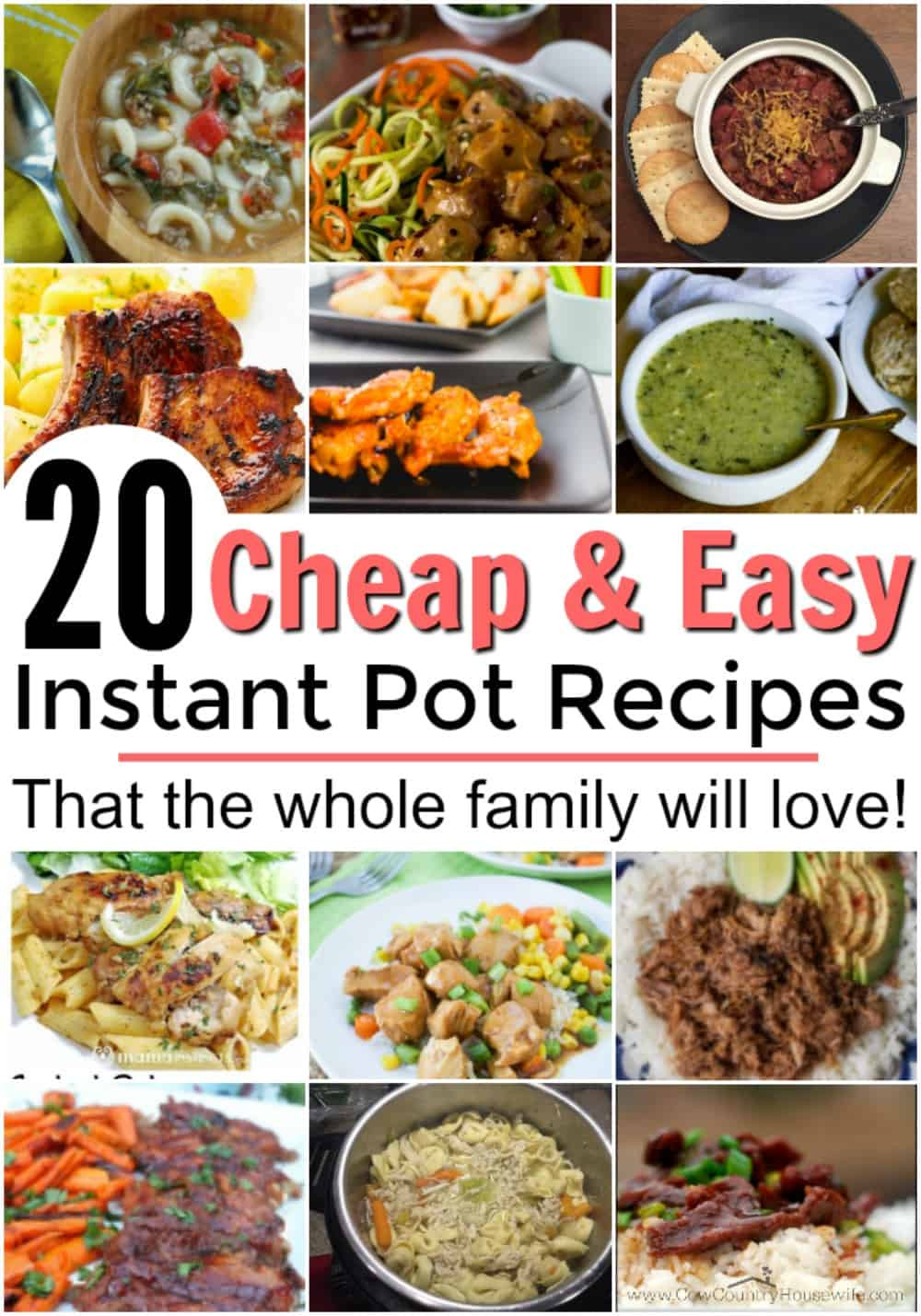 Instant Pot Quick Recipes
 Cheap and Easy Instant Pot Recipes
