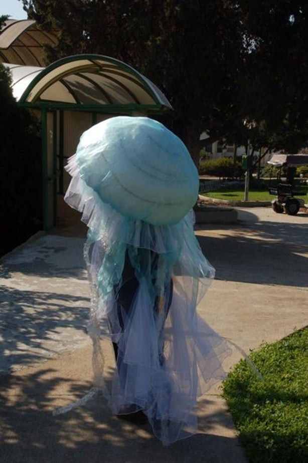 Jellyfish Costume DIY
 Jellyfish Costume DIY