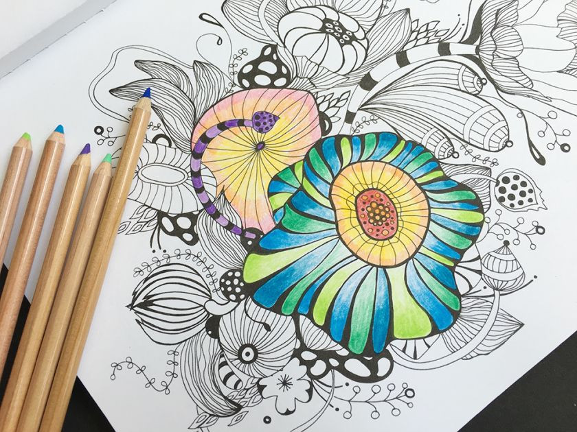 Joann Fabrics Adult Coloring Book
 Best Tools for Adult Coloring Books