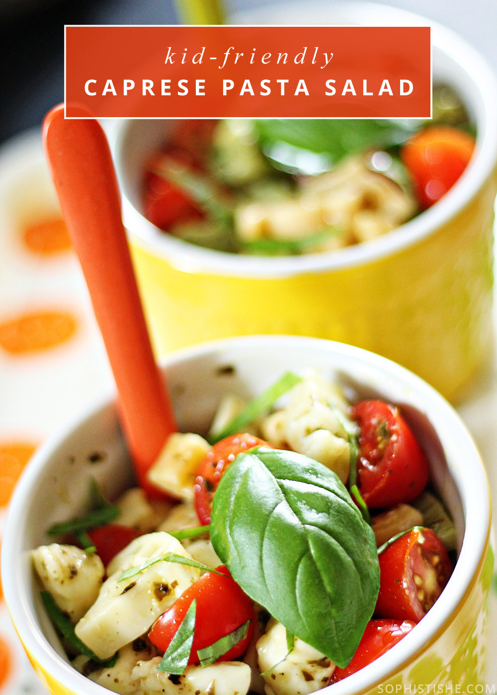 Kid Friendly Pasta Salad Recipes
 kid friendly pasta salad