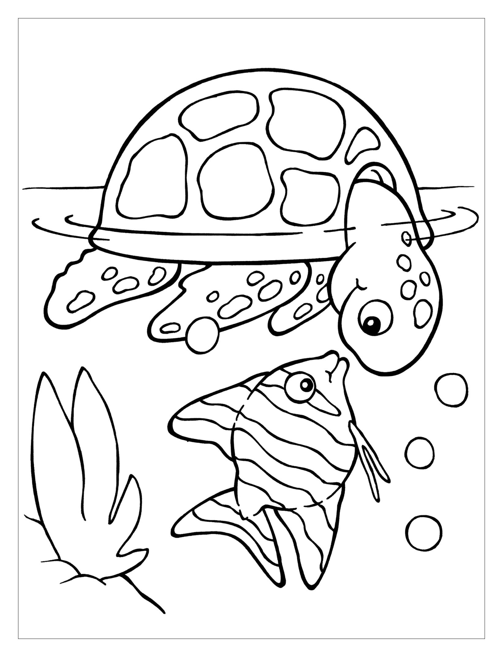 Kids Coloring Page
 Turtles to print Turtles Kids Coloring Pages