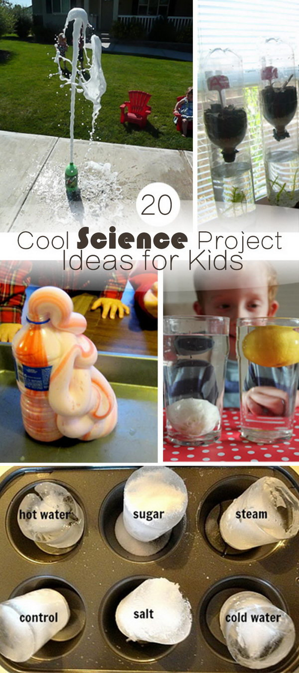 Kids Project Idea
 20 Cool Science Project Ideas for Kids Hative