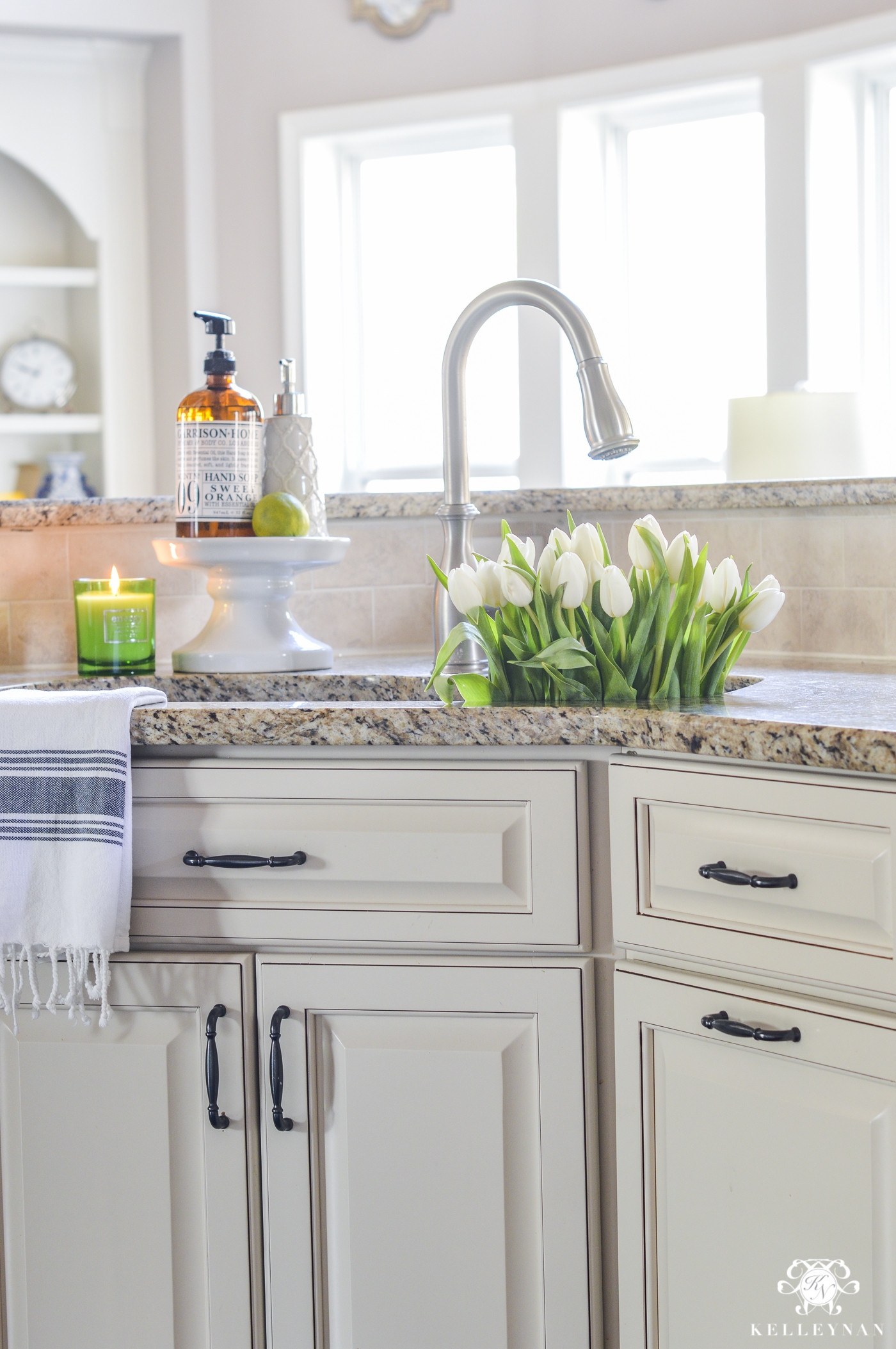 Kitchen Sink Organization
 Organization for Under the Kitchen Sink