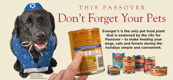 Kosher For Passover Cat Food
 Kosher for Passover Pet Food – Evanger s Dog & Cat Food