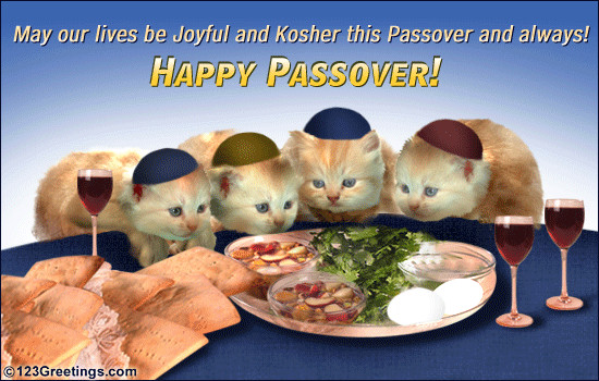 Kosher For Passover Cat Food
 50 Beautiful Passover Greeting And