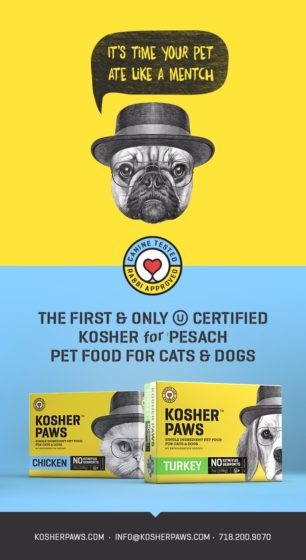 Kosher For Passover Cat Food
 Kosher For Passover Pet Food KosherGuru Bringing