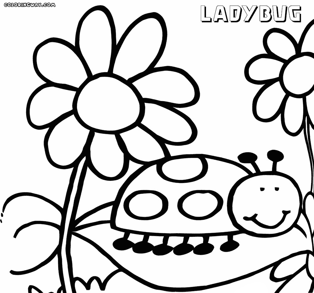 Ladybug Coloring Pages For Kids
 Ladybug coloring pages