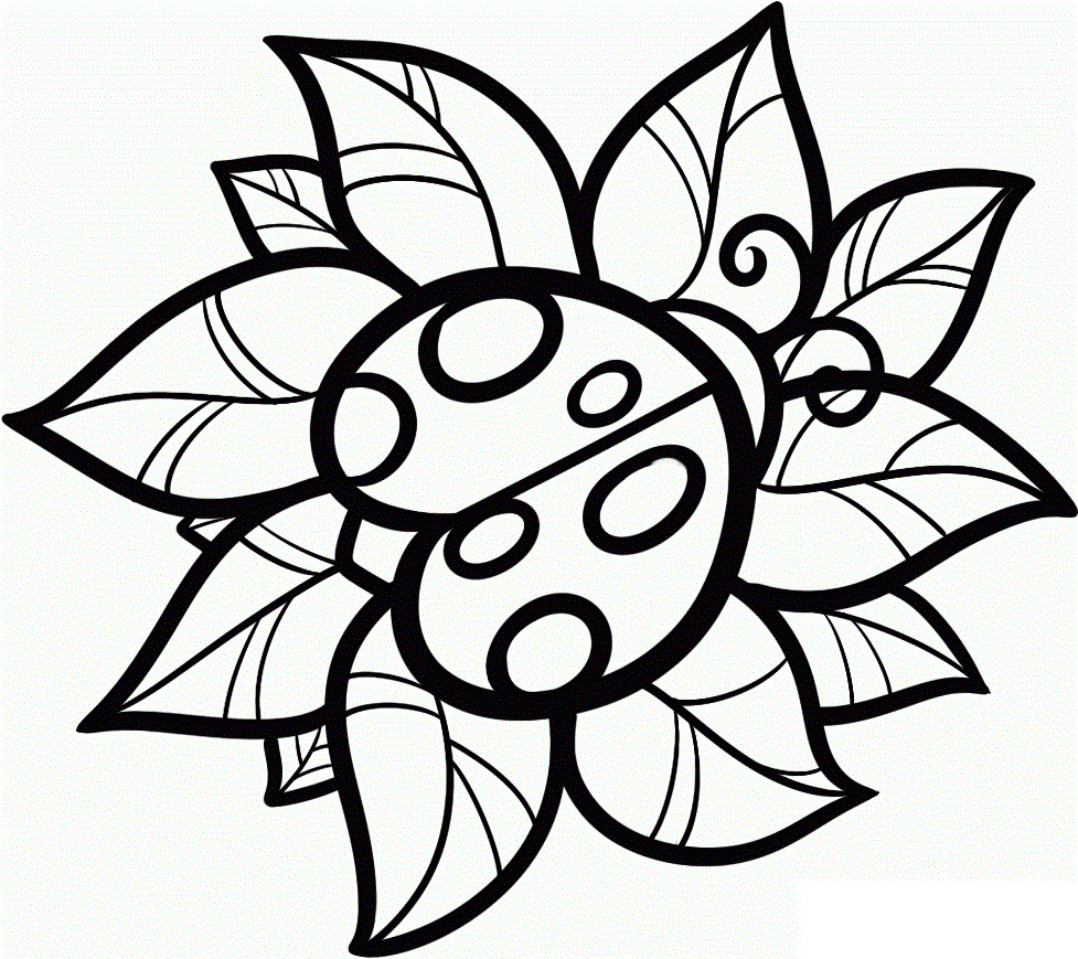 Ladybug Coloring Pages For Kids
 Ladybug Cartoon Drawing at GetDrawings
