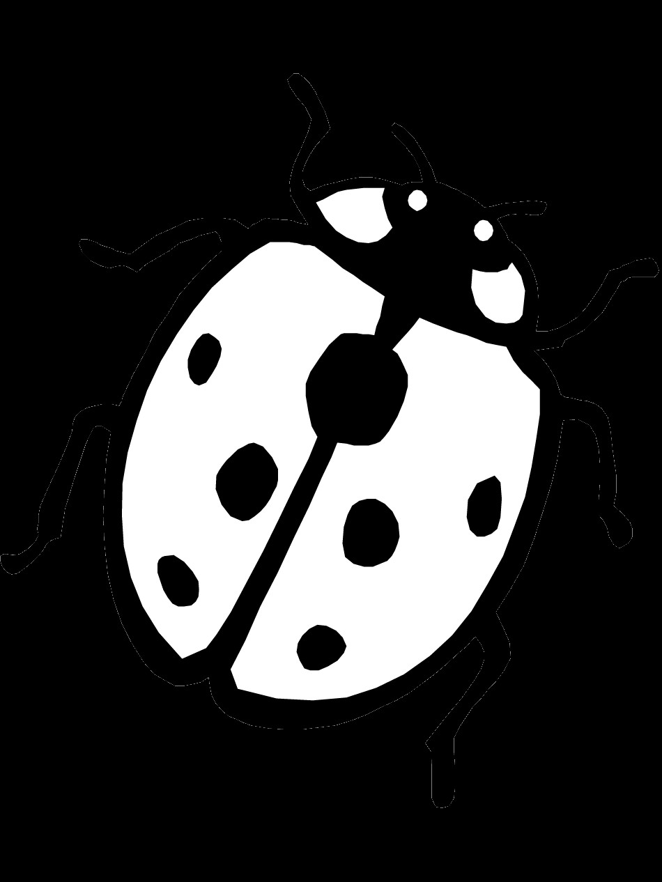 Ladybug Coloring Pages For Kids
 Ladybug Coloring Page
