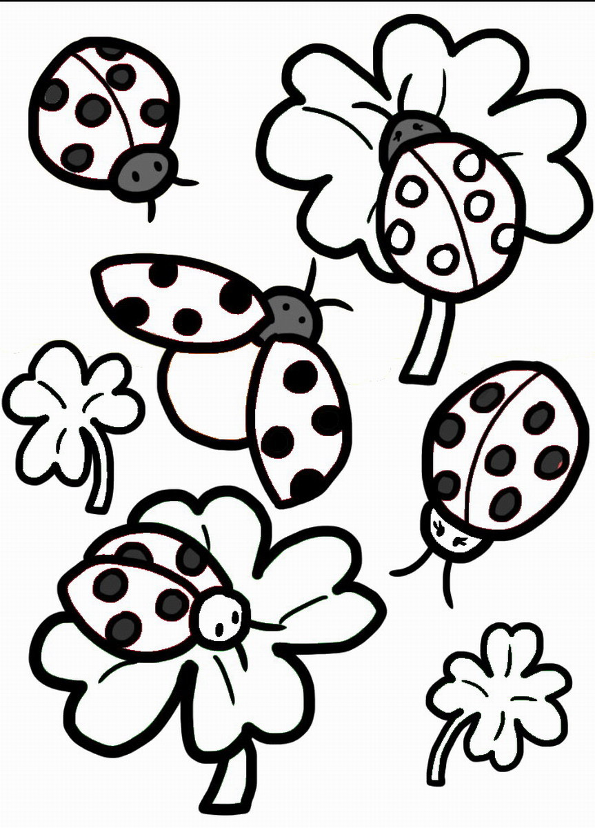 Ladybug Coloring Pages For Kids
 Ladybug Coloring Pages – Birthday Printable