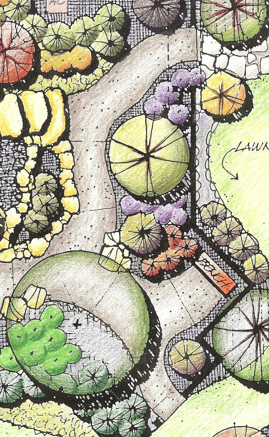 Landscape Design Drawing
 Gardener in a Forest Considering a DIY Landscaping