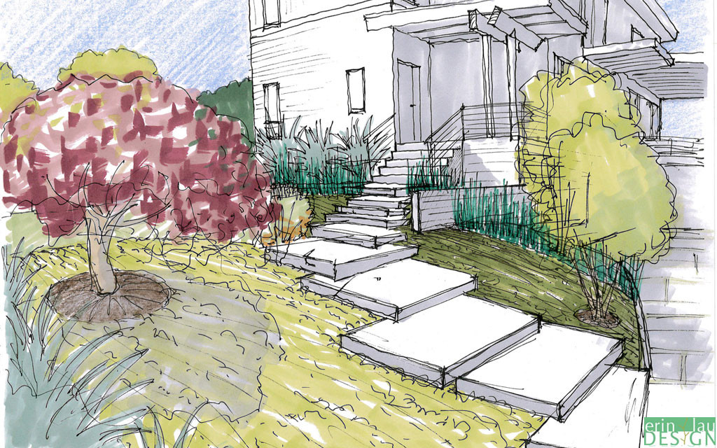 Landscape Design Drawing
 garden drawing