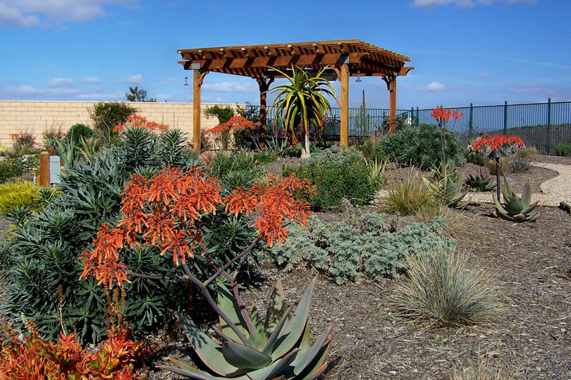 Landscape Designs San Diego
 Landscape Designer San Diego