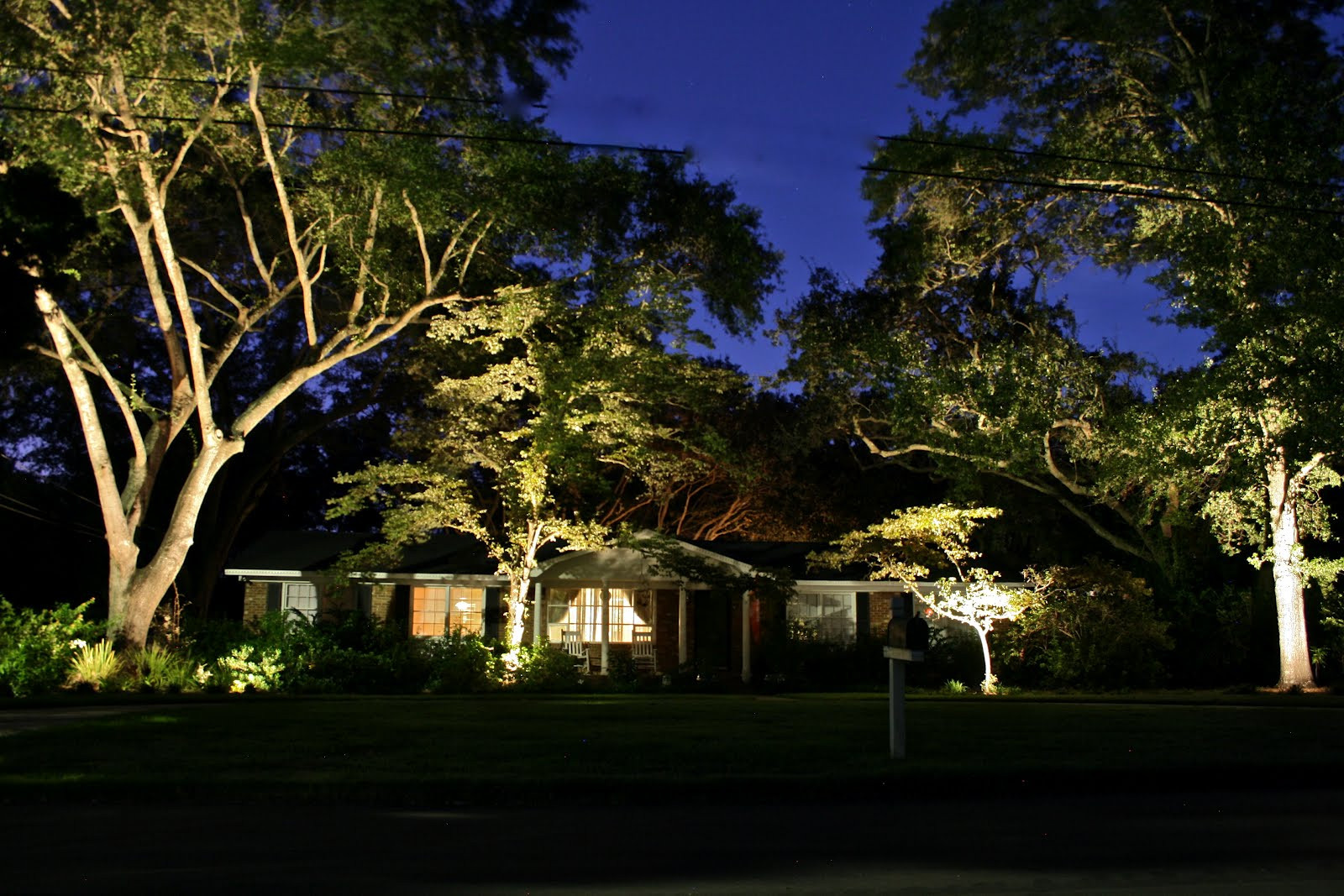 Led Landscape Light Bulbs
 Carolina Landscape Lighting LED or Incandescent