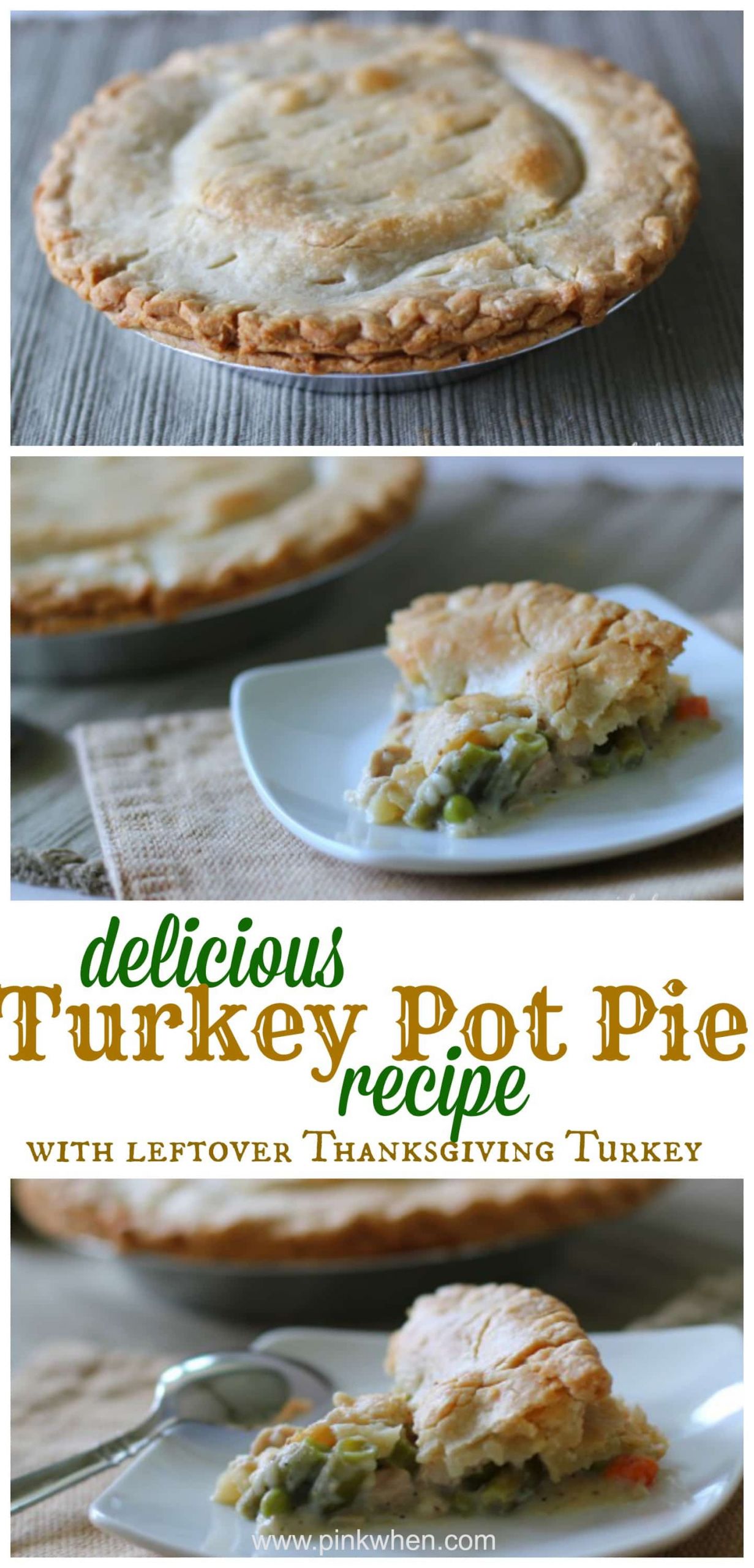 Leftover Turkey Pot Pie Recipe
 Delicious Turkey Pot Pie Recipe PinkWhen