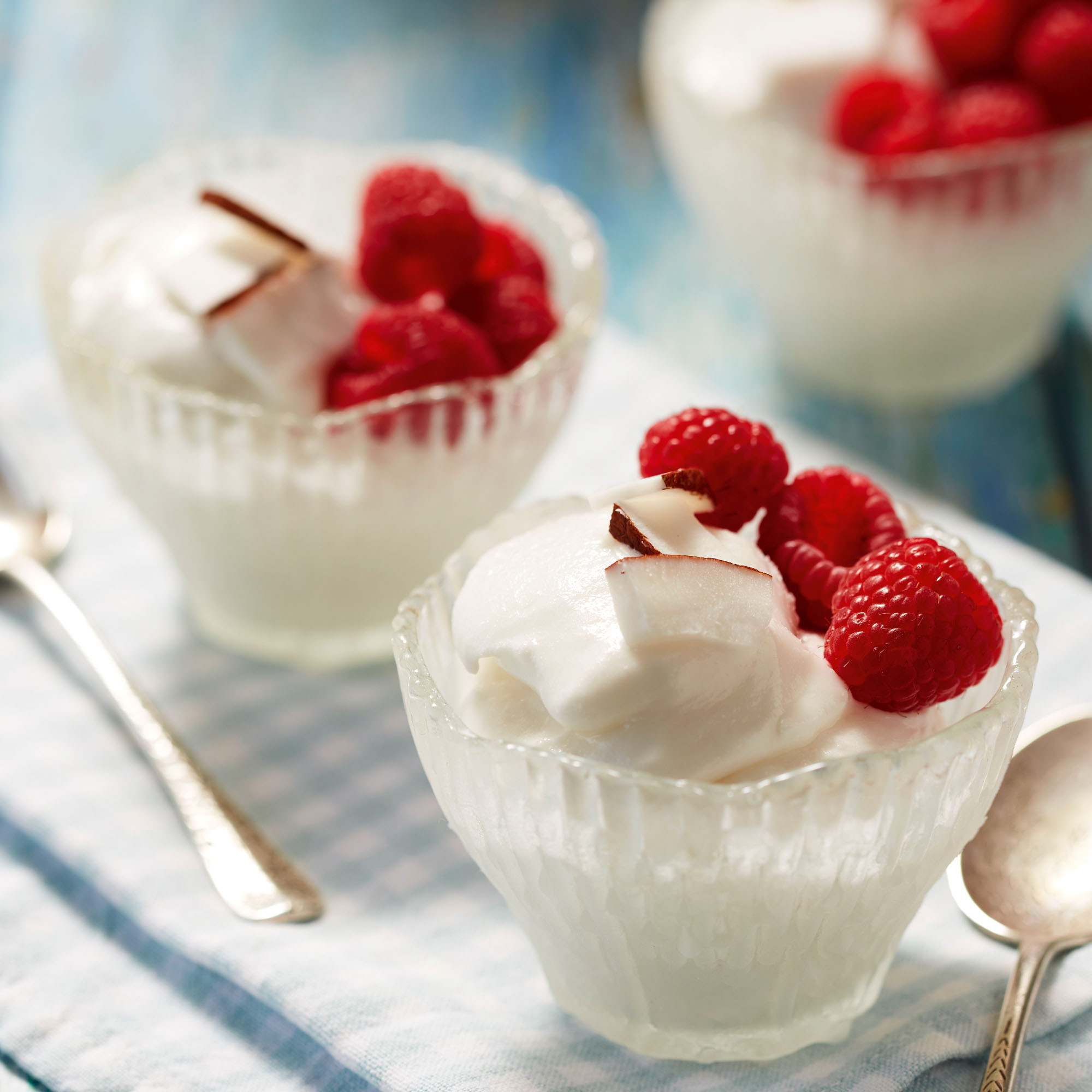 Light Desserts For Summer
 Summer Dessert Recipes