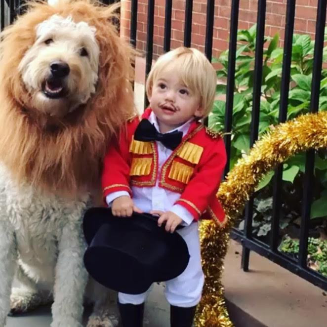 Lion Tamer Costume DIY
 Monday Musts DIY Kids Halloween Costumes