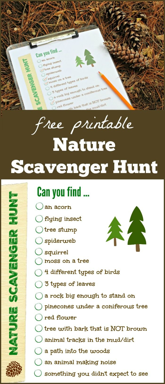 List Of Creative Activities For Adults
 FREE Nature Scavenger Hunt with printable 