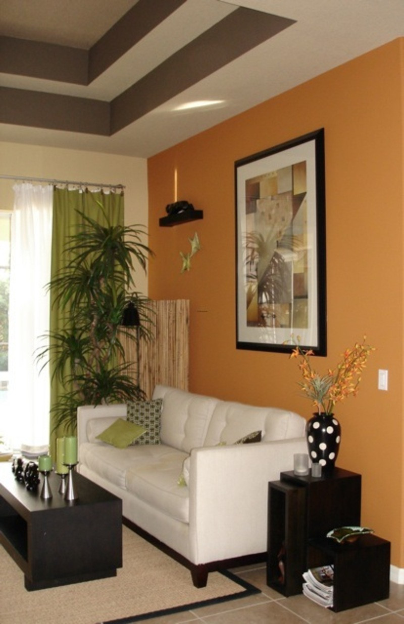 Living Room Paint Design
 Choosing Living Room Paint Colors Decorating Ideas For