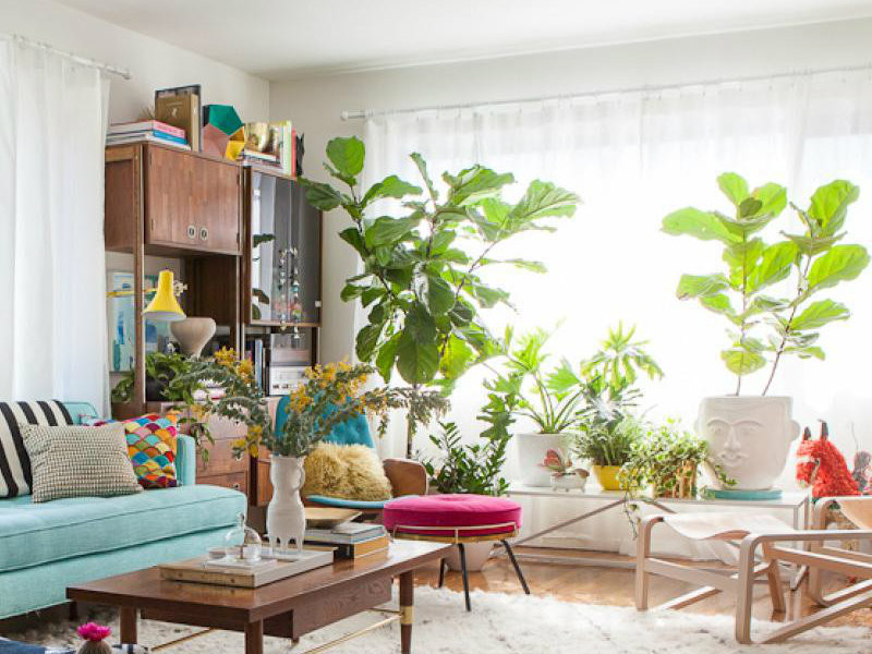 Living Room Plant Ideas
 10 Cheerful living room ideas with plants Covet Edition